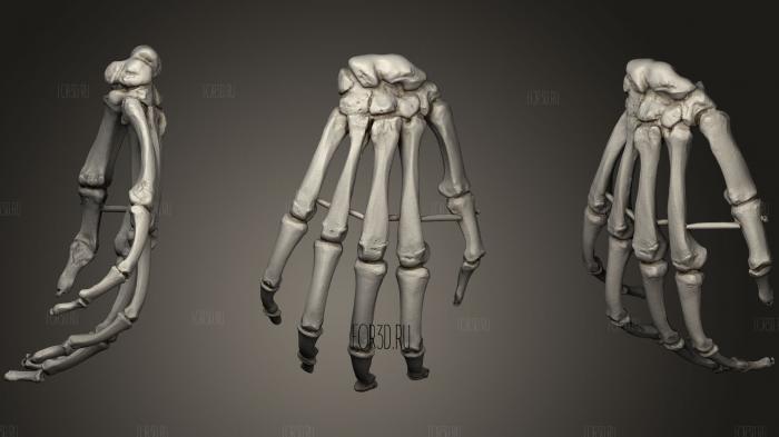 Human Hand replica stl model for CNC